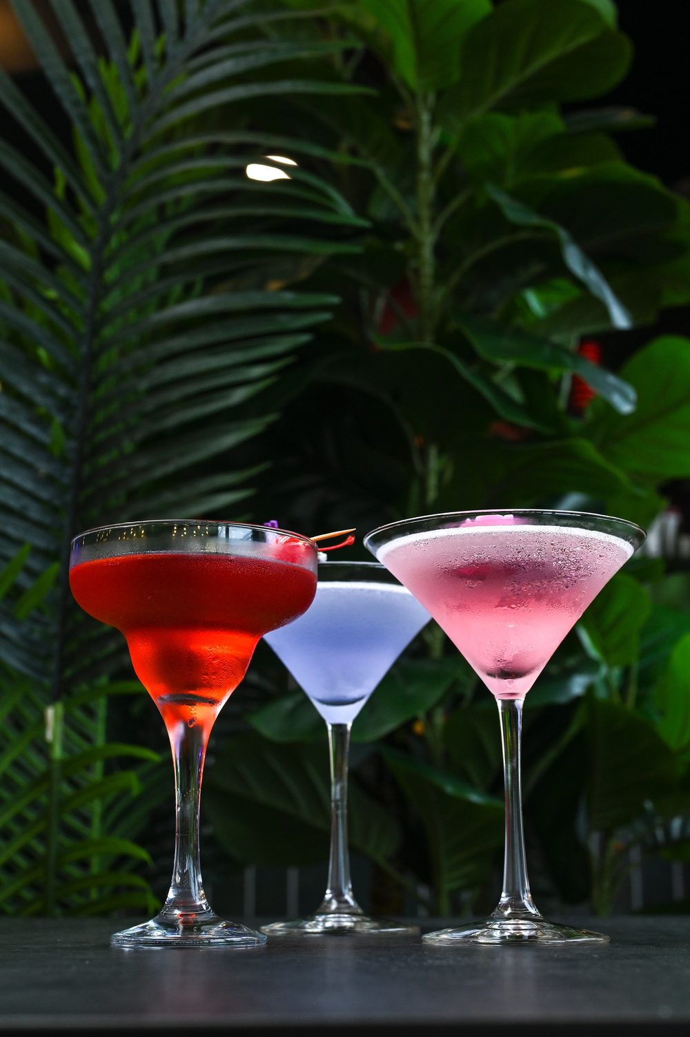 Trio of rose-garnished martinis